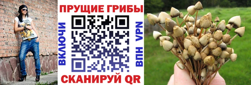 Галлюциногенные грибы мухоморы  Лыткарино 