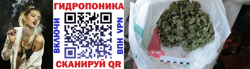 сколько стоит  Лыткарино  Каннабис планчик 